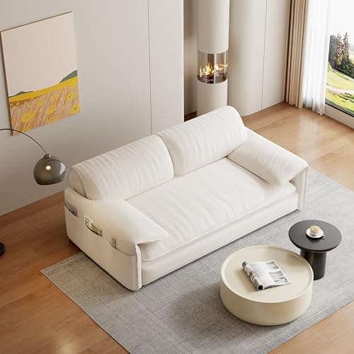 FANYE 63.8" Living Room Queen Sofabed 3-in-1 Convertible Sleeper Sofa