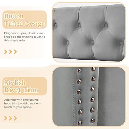 Modern Grey Velvet Upholstered Twin Daybed with Trundle - No Box Spring Needed