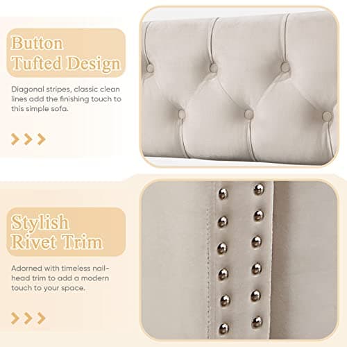 Modern Beige Full Size Button Tufted Velvet Daybed with Trundle