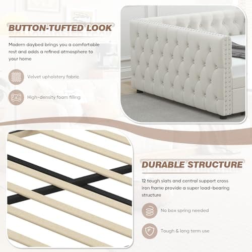 Antetek Full Size Velvet Upholstered Day Bed with Twin Pull Out Trundle for Living Room and Children's Room
| Modern Beige Daybed with Trundle for Living Room and Children's Room, No Box Spring Needed
| Antetek Full Size Velvet Daybed w/Twin Pull Ou